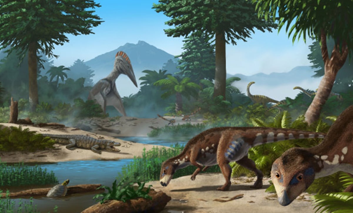 Descubren nueva especie de dinosaurio enano que vivió hace 70 millones