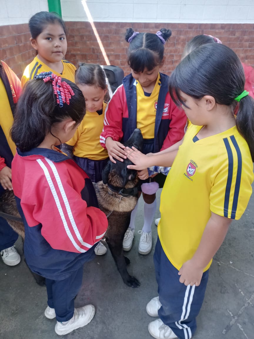 Visita Unidad Canina K A Estudiantes Del Colegio Am Rica La Prensa