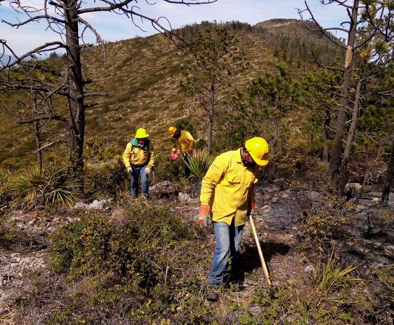 COMBATEN BRIGADISTAS DOS INCENDIOS EN LA REGIÓN SURESTE DE COAHUILA