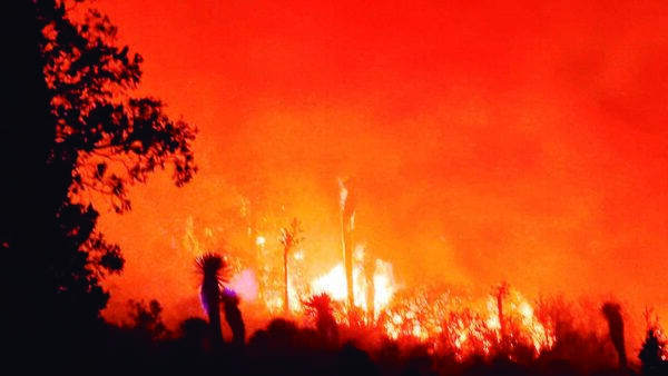 Arde el Bosque de Monterreal