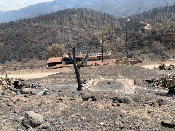 Repliegan a brigadistas de Arteaga gracias a los avances en el control del incendio