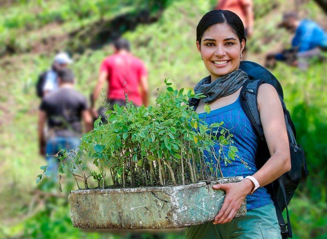 Devastado el cerro de San Juan en Tepic; Geraldine Ponce invita a reforestarlo
