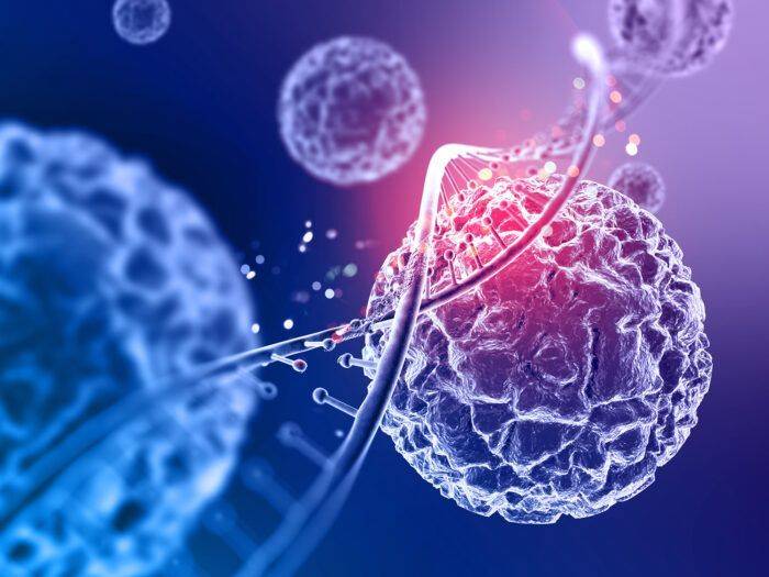 ¿Qué significa la mutación de un virus y cómo nos defendemos de ellos?