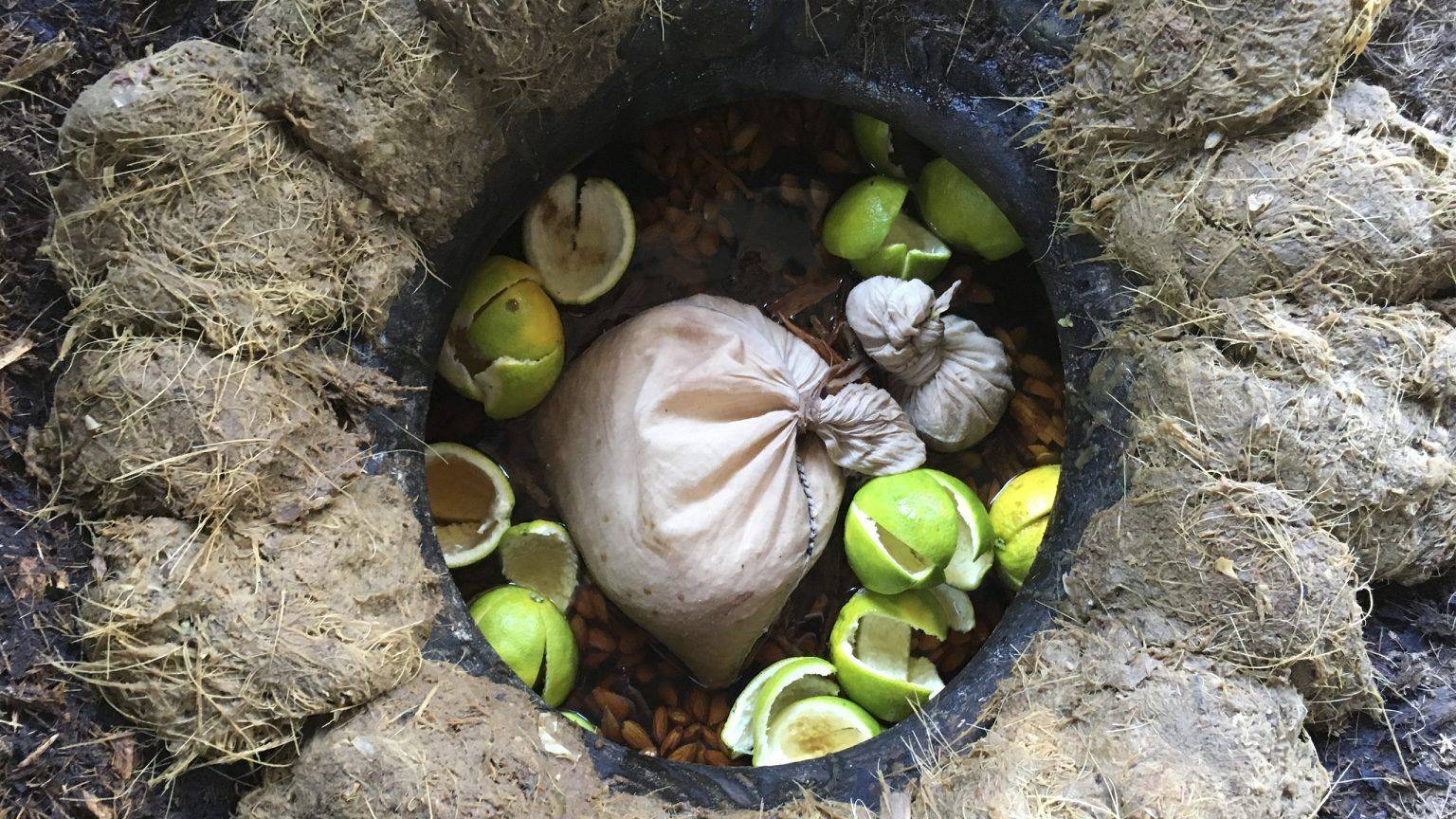 Mezcal de pechuga: una ofrenda ancestral