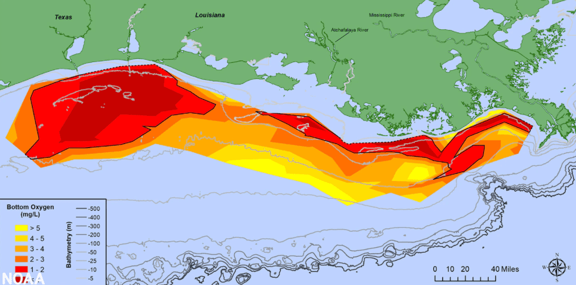Preocupante expansión: ‘Zona muerta’ del Golfo de México crece casi 3 veces este año