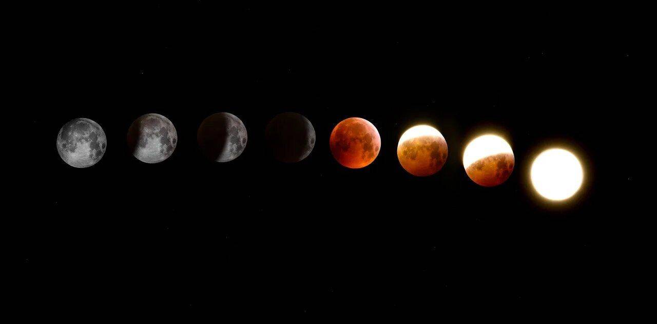 Cuándo y en dónde se verá el eclipse parcial de luna de noviembre