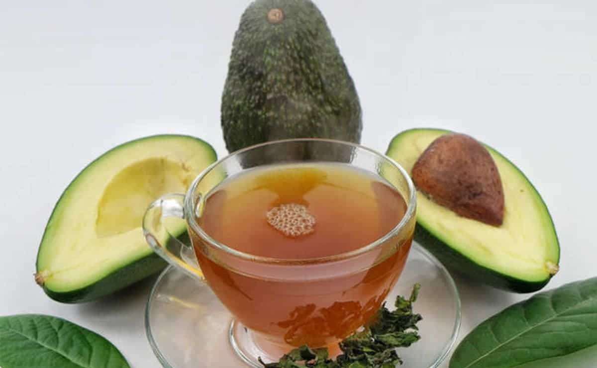 Para qué sirve el té de hueso de aguacate