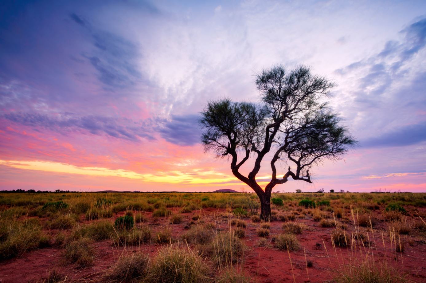 La extraordinaria belleza de Pilbara, el sitio de Australia con algunas de las formaciones más antiguas de la Tierra