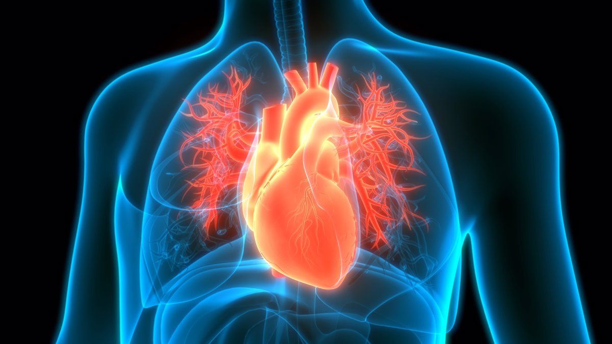 Hipertensión, diabetes y tabaco provocan más infartos entre las mujeres