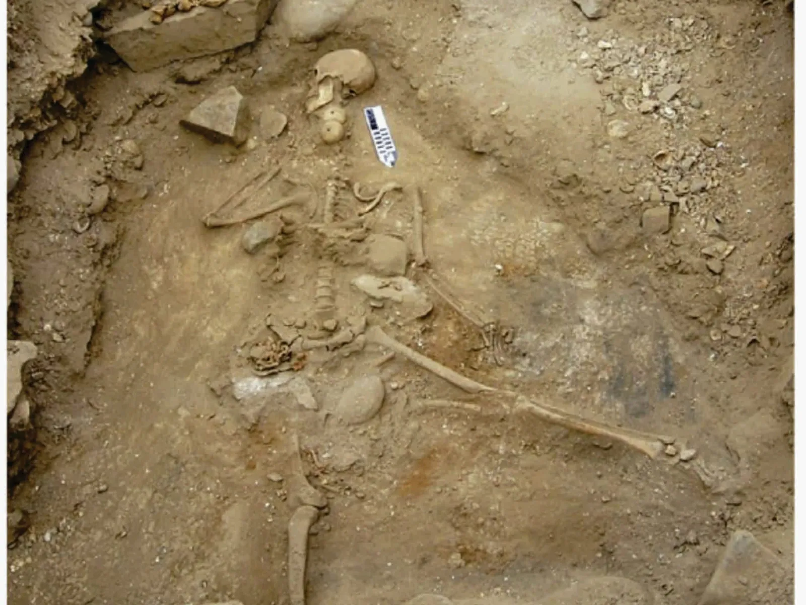 Investigadores logran determinar que un hombre murió ahogado hace 5.000 años a partir del análisis de sus restos óseos