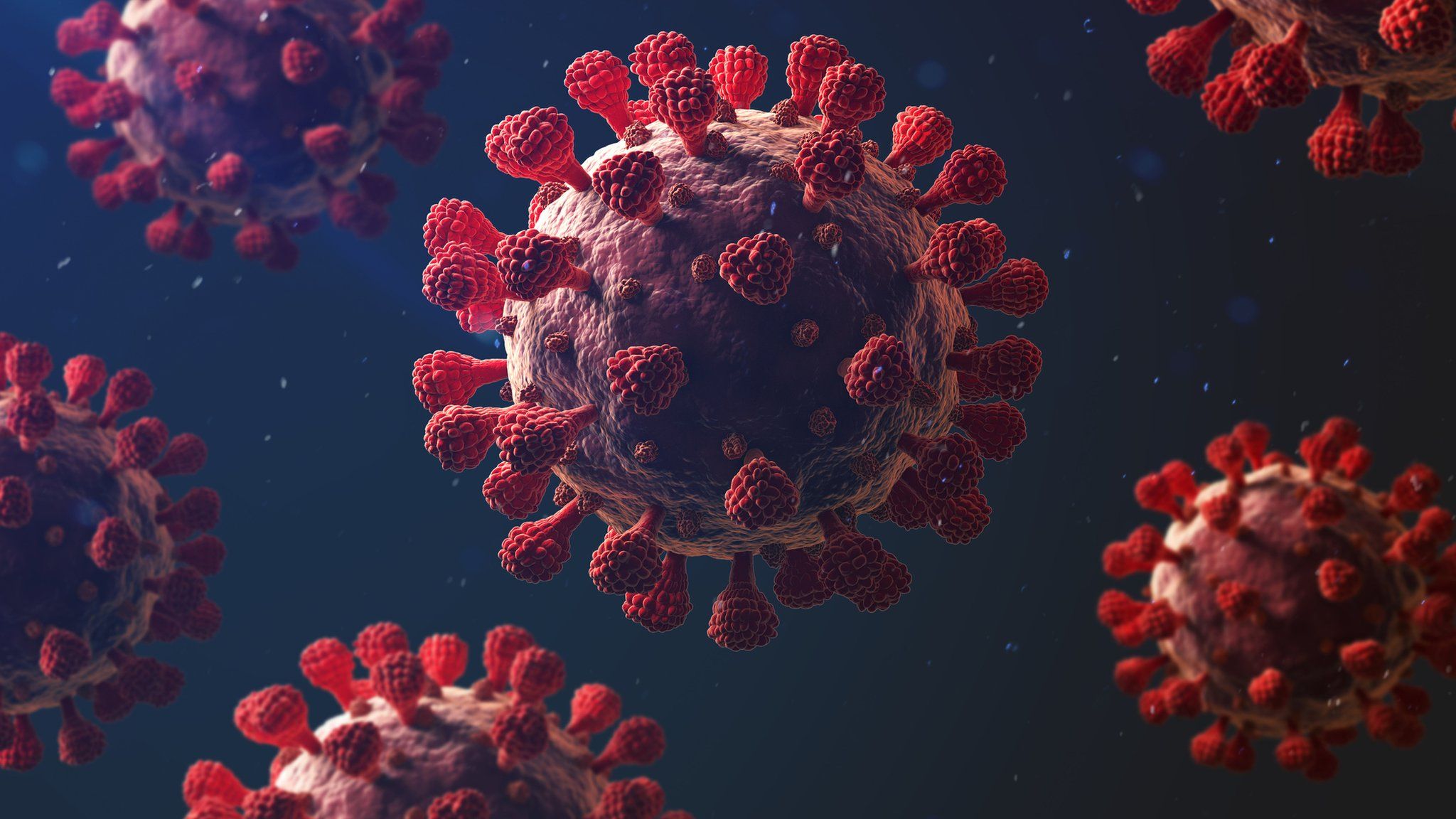 ¿Cómo podría surgir la próxima variante de coronavirus?
