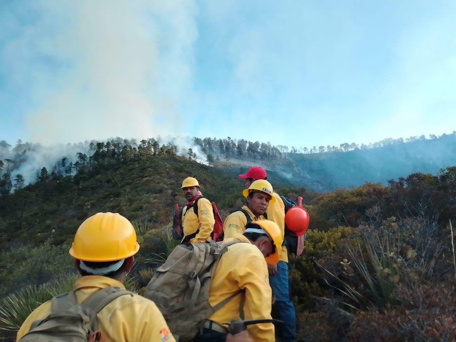 Más de 200 brigadistas combaten incendios en Coahuila