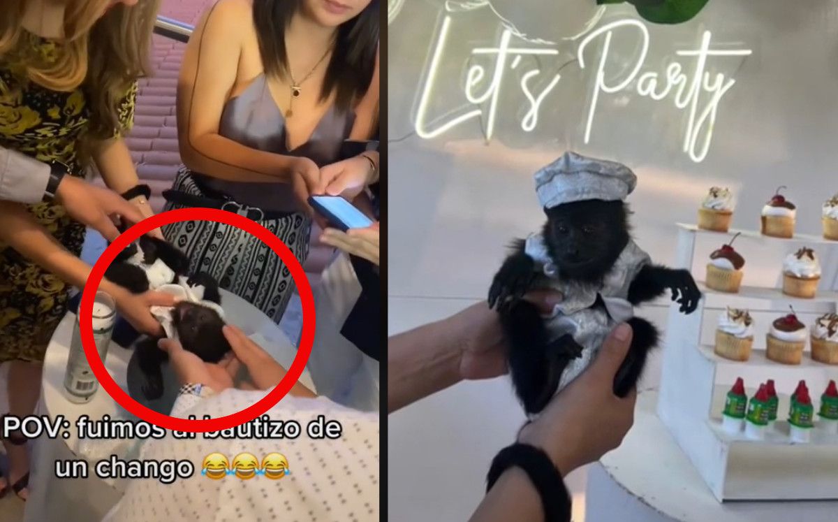 Bautizan a changuito en México; caso provoca controversia y se hace viral: «creo que es herejía»