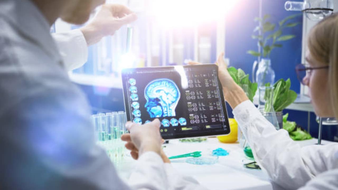 Estudio revela cómo se da cuenta el cerebro que ha cometido un error