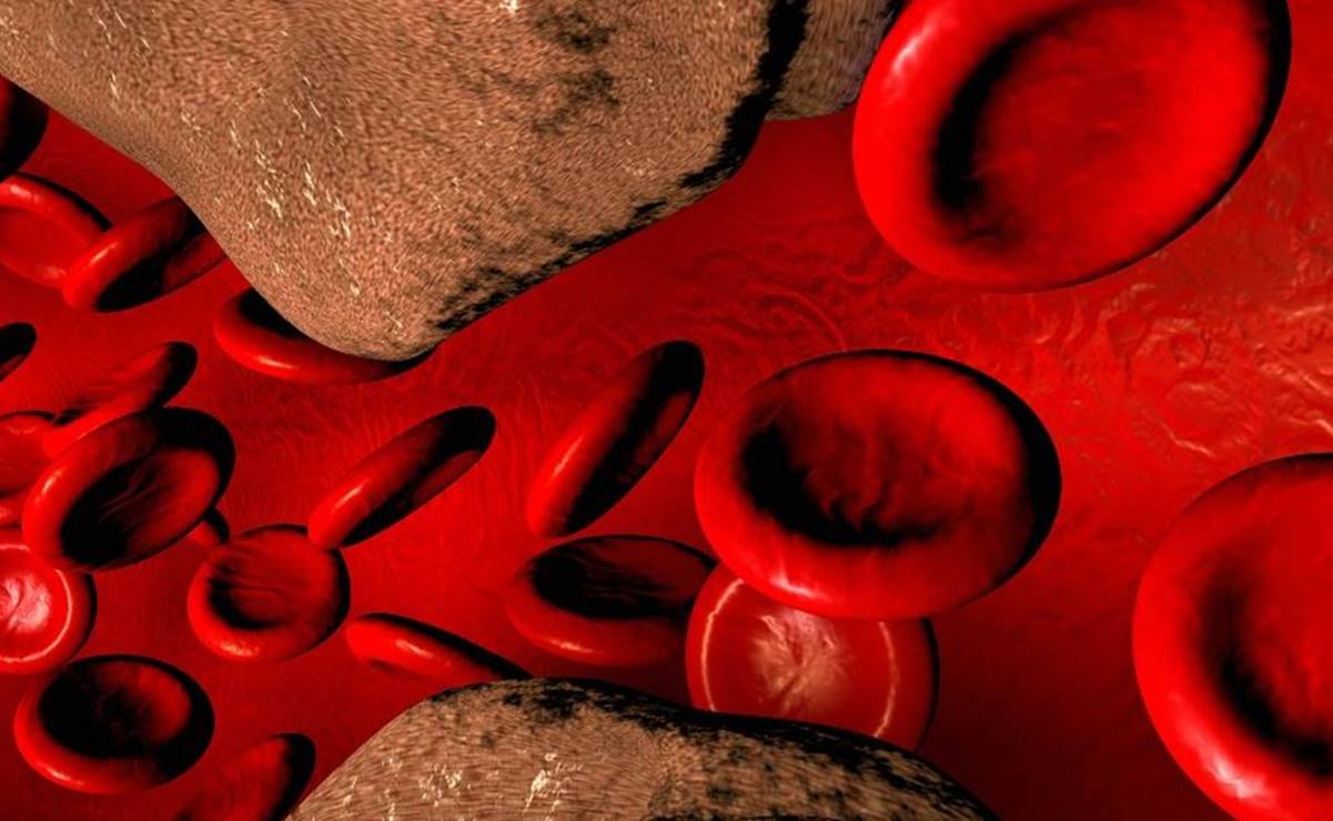 Colesterol: la biomolécula que nadie quiere en su cuerpo y sin la cual estaríamos muertos