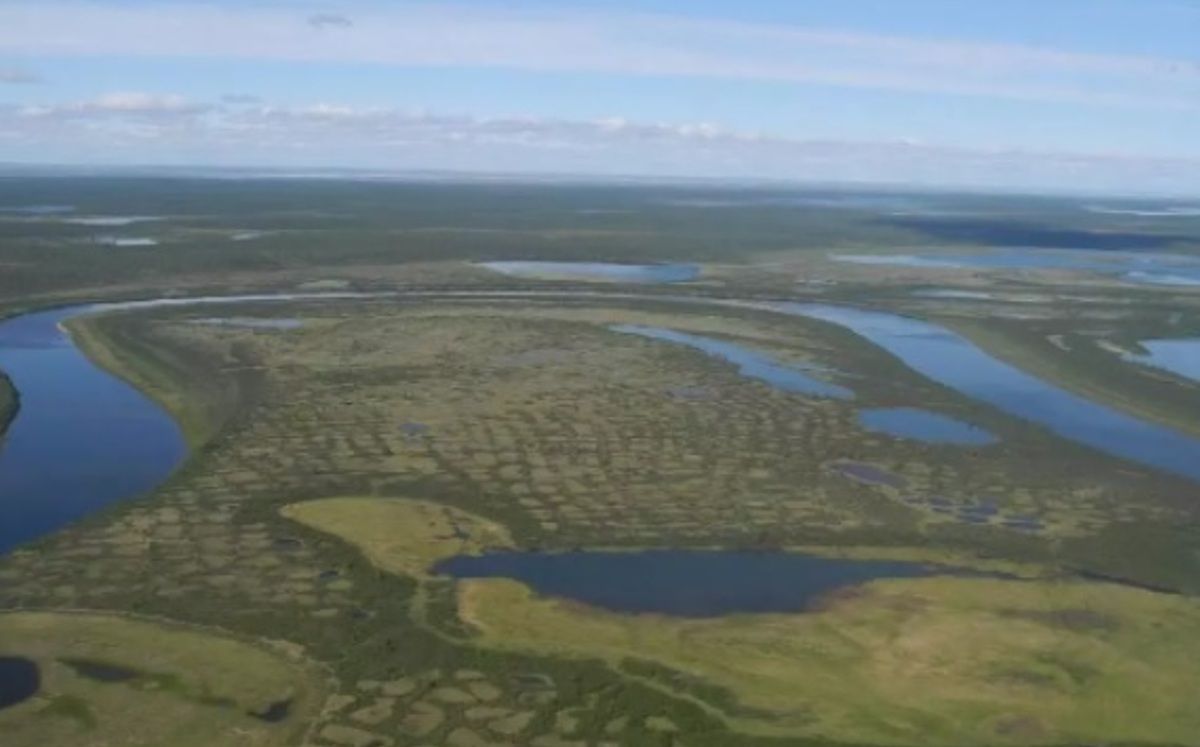 Tundra de Siberia podría desaparecer a mitad del milenio: estudio