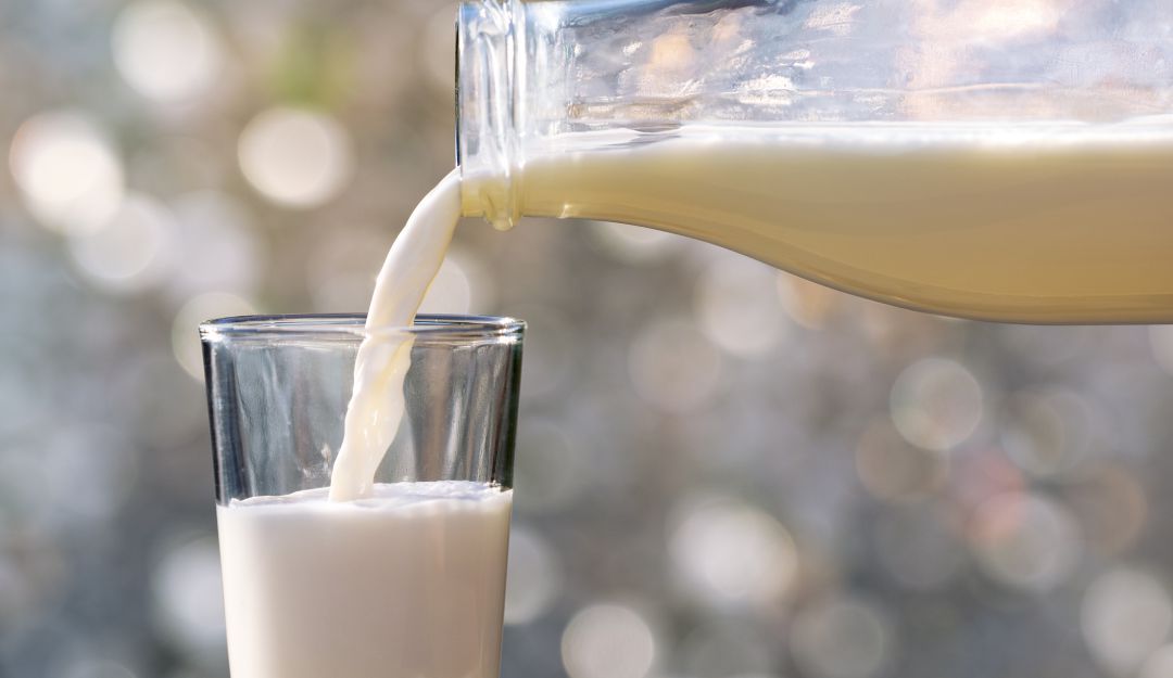 Día mundial de la leche: ¿qué estamos tomando los mexicanos?