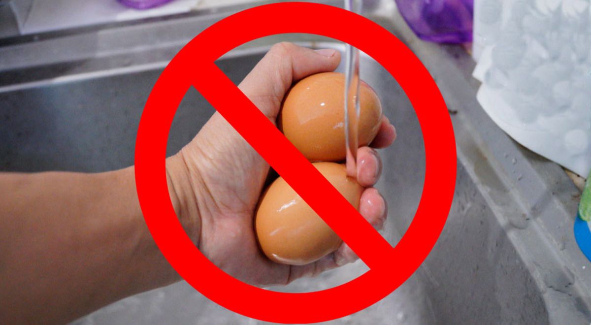 Por qué no se deben lavar los huevos
