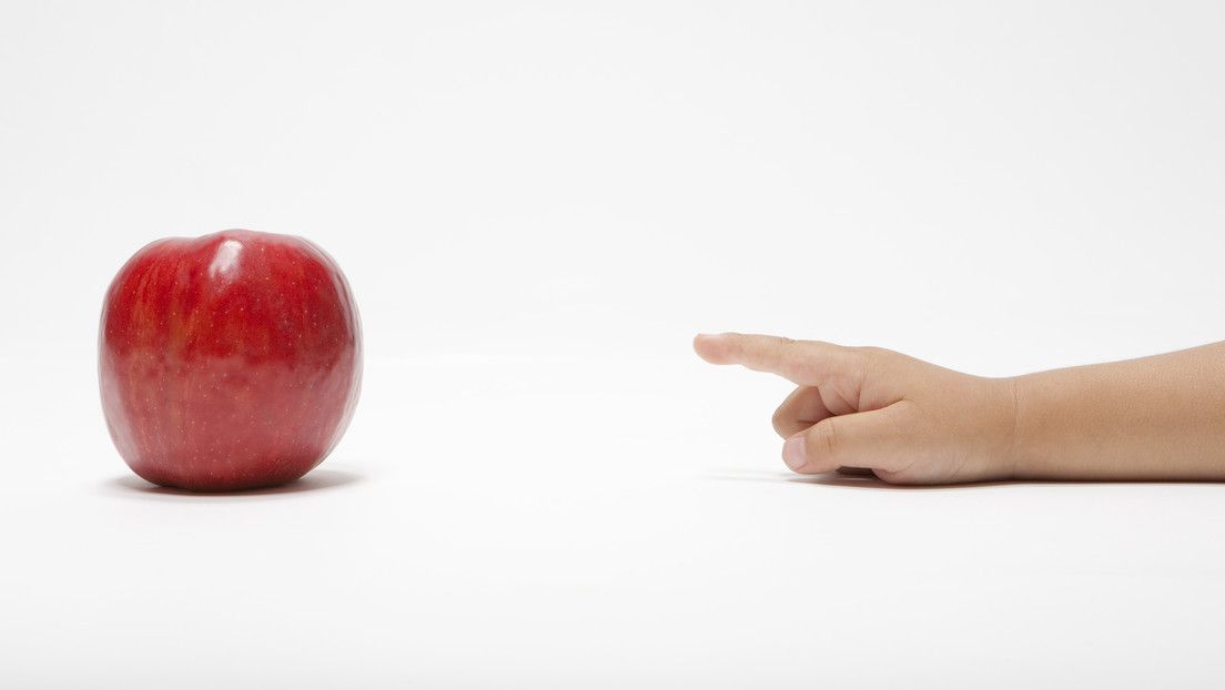 Científicos descubren que la simple exposición a cosas nuevas hace que las personas estén «listas para aprender»