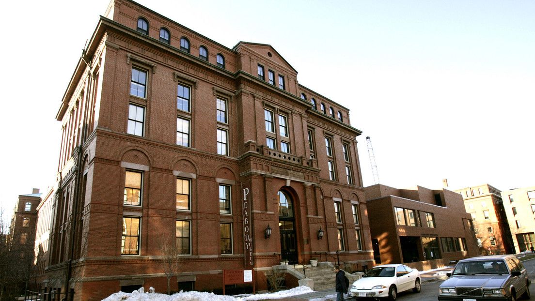 Filtran un informe que revela que la Universidad de Harvard posee restos de casi 7.000 nativos americanos y unos 19 esclavos en sus colecciones