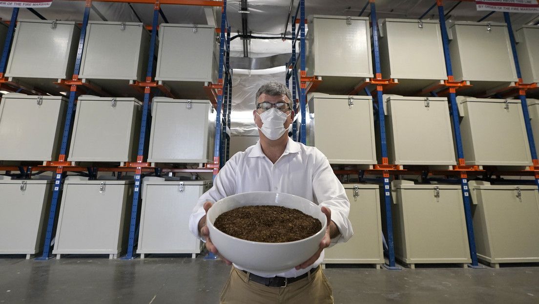 ‘Polvo eres… y en abono te convertirás’: el estado de Nueva York avanza para legalizar la conversión de cadáveres en fertilizante