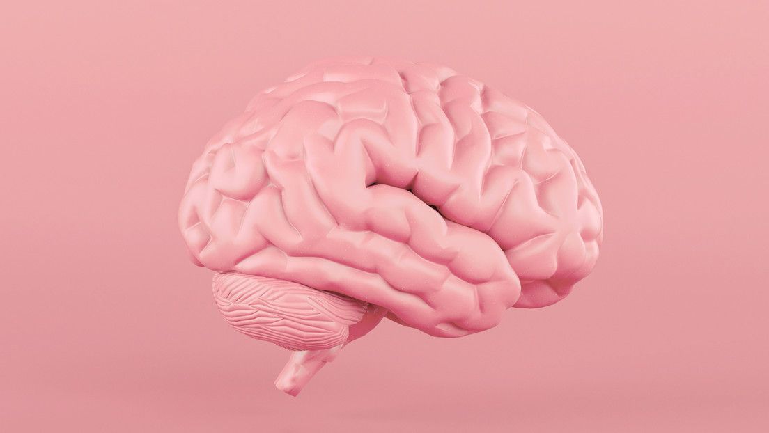 Descubren que el cerebro humano sano alcanza temperaturas más altas de lo que se sospechaba