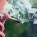 Tienen permiso para fumar marihuana 16 coahuilenses de SCJN