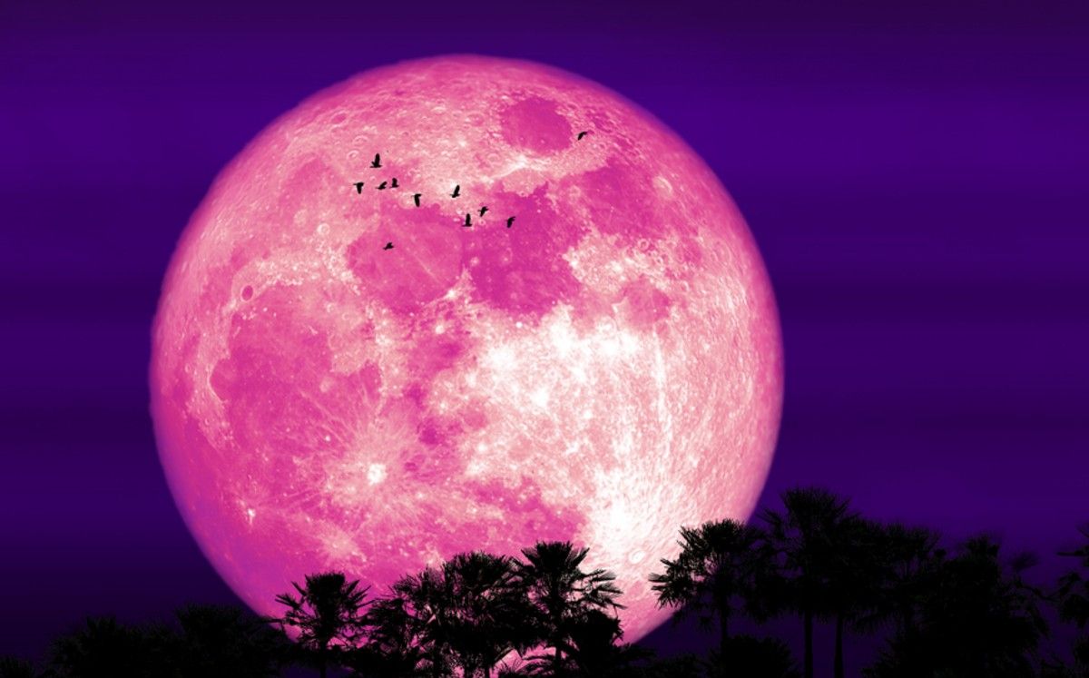 Superluna de fresa de junio, ¿Cuándo y a qué hora verla?