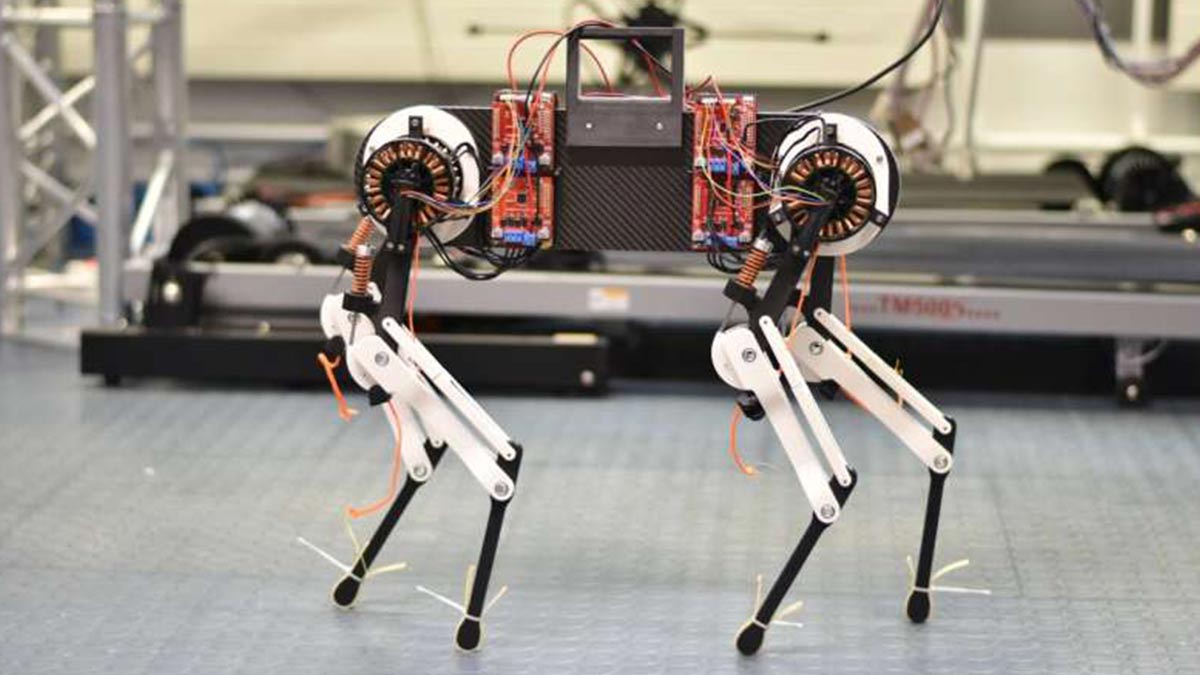 Perro robot aprende a caminar en una hora y lo comparan con pequeño potrillo
