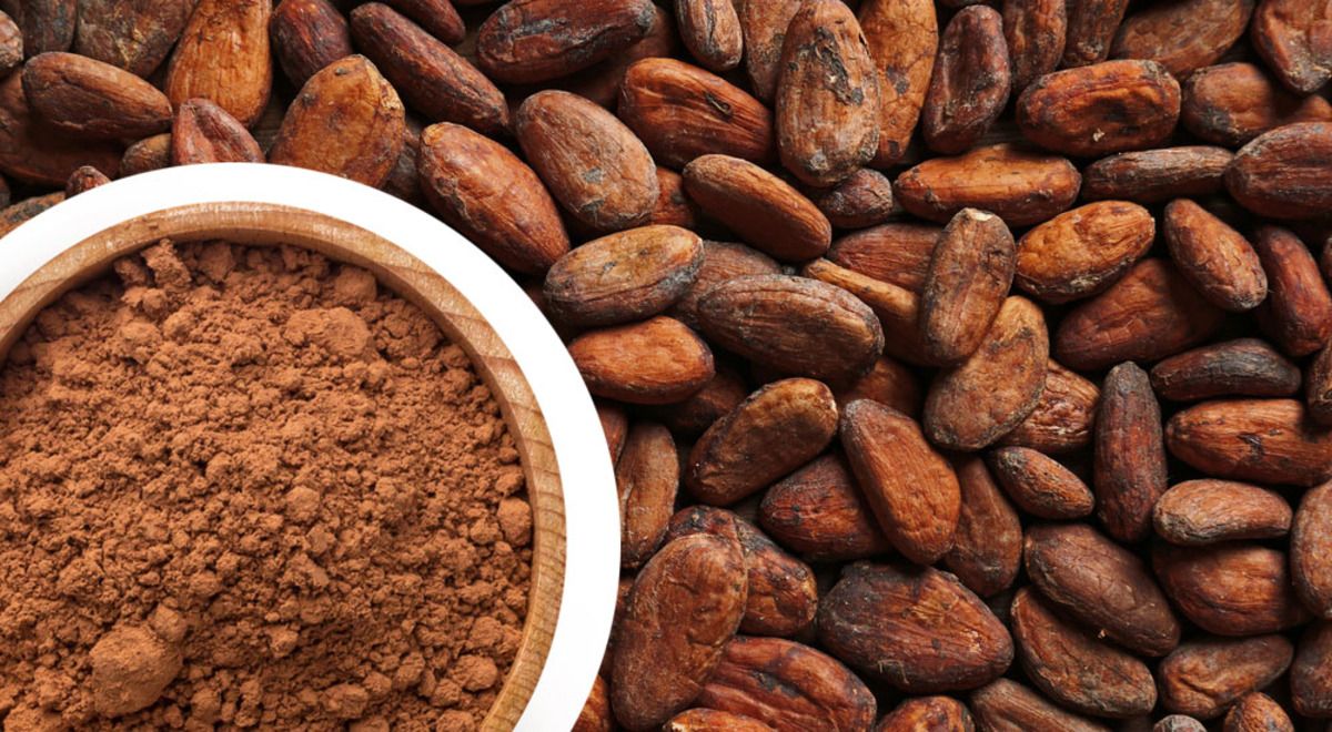 7 datos que no sabías del cacao
