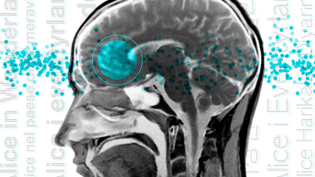 Descubren una «red lingüística universal» tras analizar imágenes cerebrales de hablantes de 45 idiomas