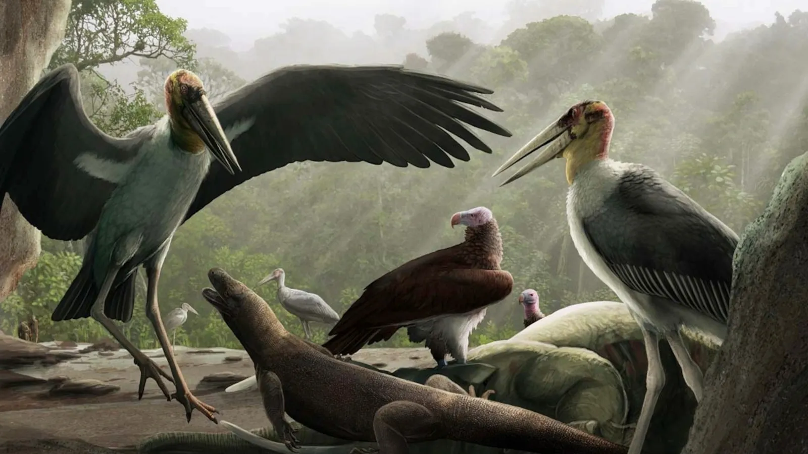 Así eran las aves gigantes que sobrevolaron la isla de los «hobbit»