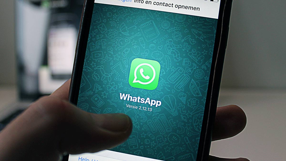 Truco para escribir con las letras al revés en WhatsApp y otras curiosidades