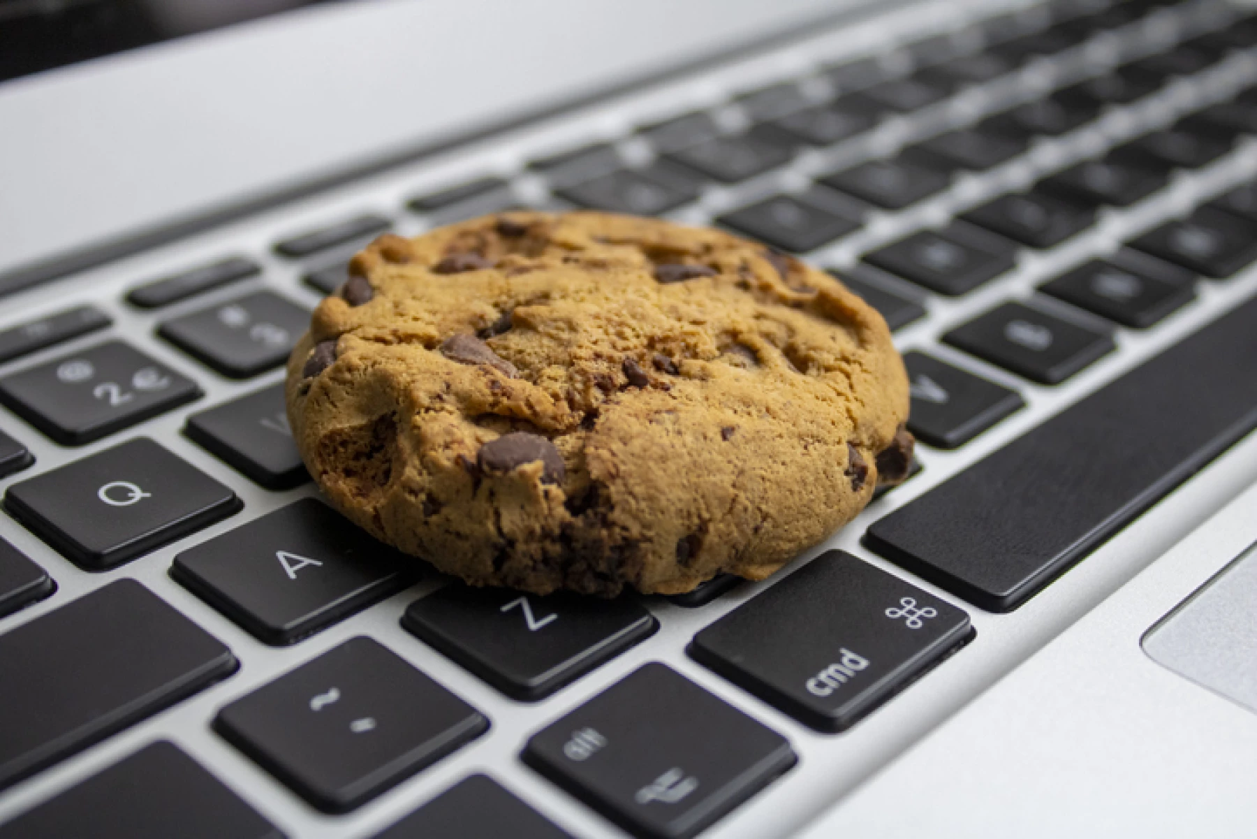 Cookies: esta es toda la información que recopilan en tu navegación