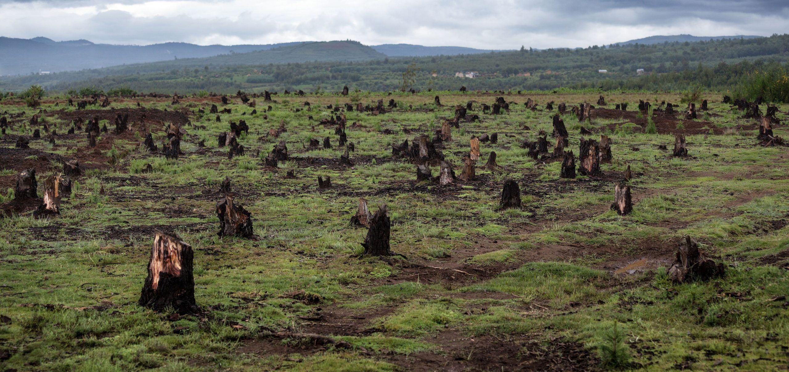 No hay forma de enfrentar el deterioro de los ecosistemas: Sagols Sales