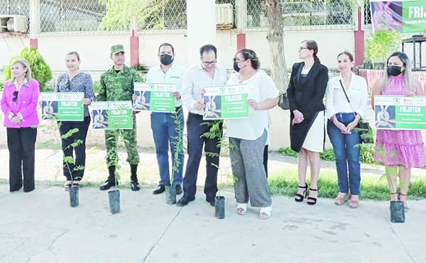 Ofrece Cáritas árbol por frijol - La Prensa de Coahuila