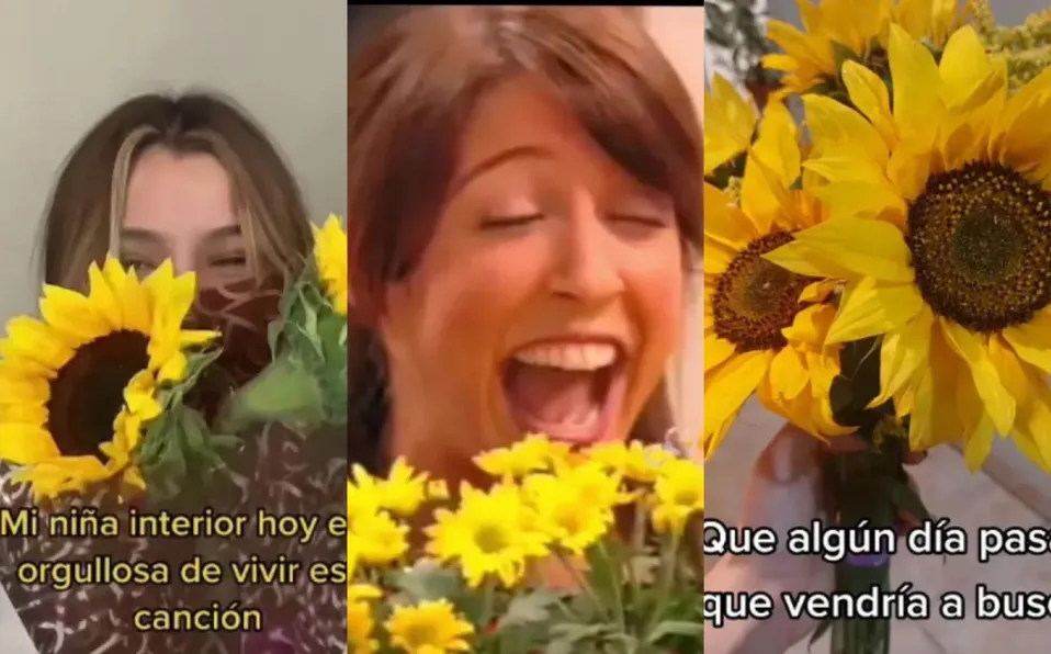 Por qué en TikTok son tendencia las flores amarillas? Aquí la explicación -  La Prensa de Coahuila