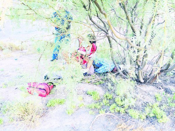 Muere entre matorrales
