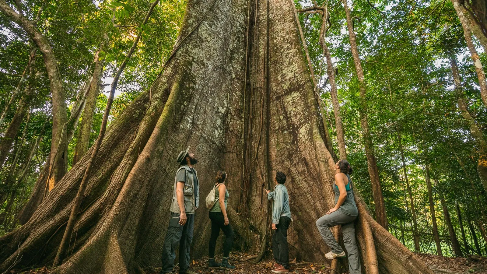5 destinos de turismo sostenible en la Amazonía