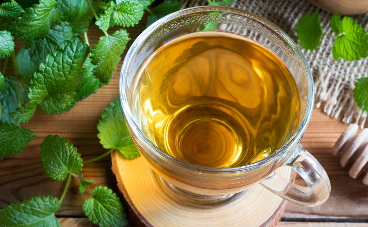 Estos son los múltiples beneficios de tomar infusiones de Toronjil