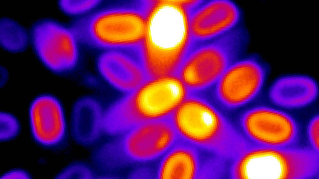 Descubren que bacterias «muertas» pueden volver a la vida