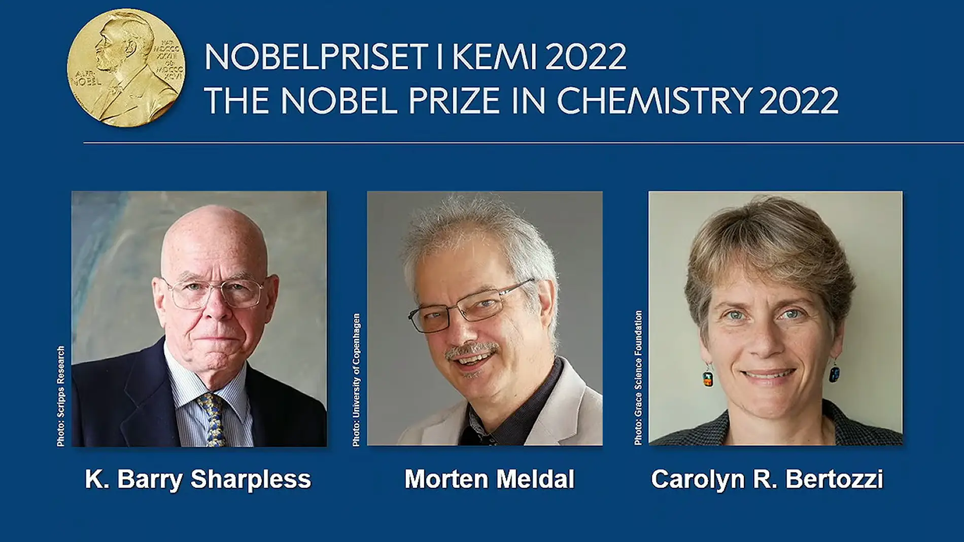 Premio Nobel de Química 2022: qué son la química click y la química bioortogonal (y cómo pueden revolucionar los tratamientos de enfermedades como el cáncer)