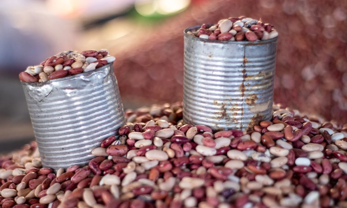 Come frijoles todos los días, estos son sus beneficios