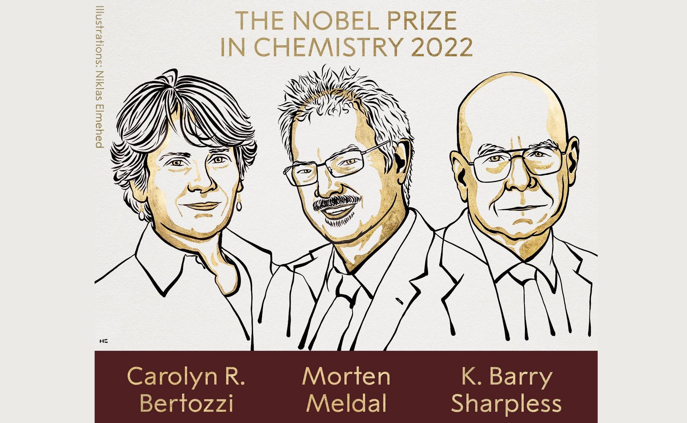 Nobel de Química 2022 reconoce el desarrollo de la química click y la bioortogonal