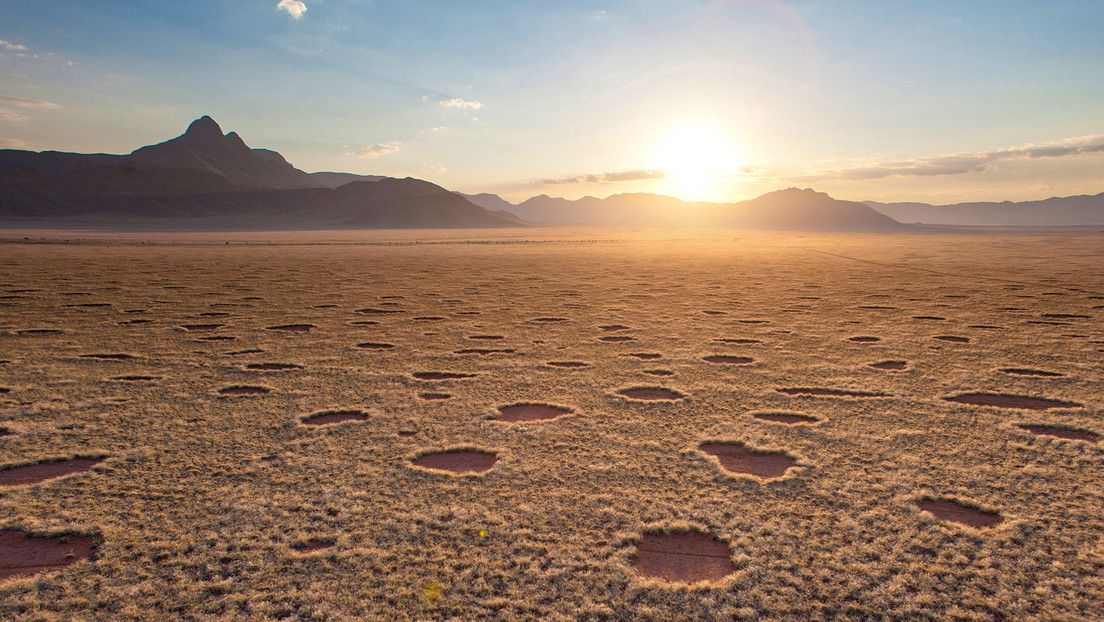 Científicos ‘acorralan’ el misterio de los ‘anillos de hada’ en Namibia y Australia