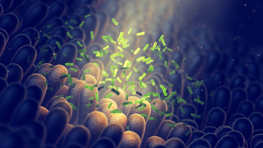 Descubren nueva molécula asociada con la enfermedad inflamatoria intestinal y el cáncer de colon