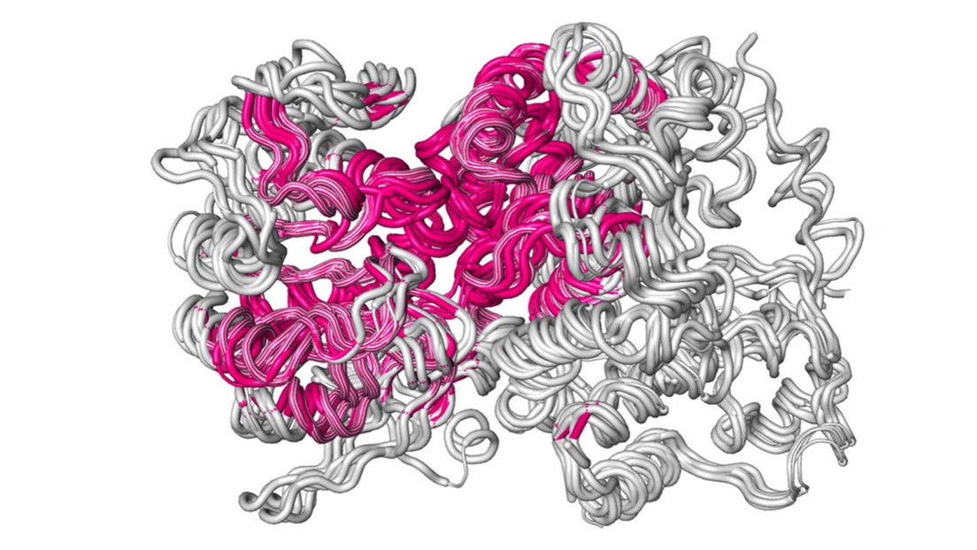 La inteligencia artificial facilita una tarea de bioingeniería que fue un duro reto durante 30 años