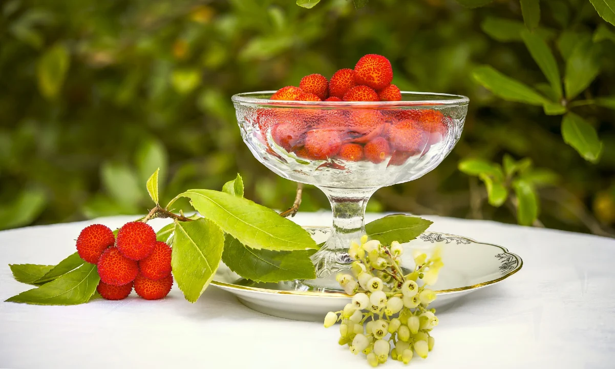 El madroño, la fruta que contiene alcohol y podría embriagarte