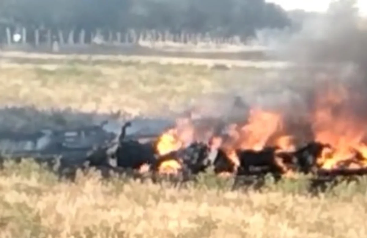 Cae helicóptero en Aguascalientes; confirman muerte de Porfirio Sánchez, titular de Seguridad Pública estatal&nbsp;