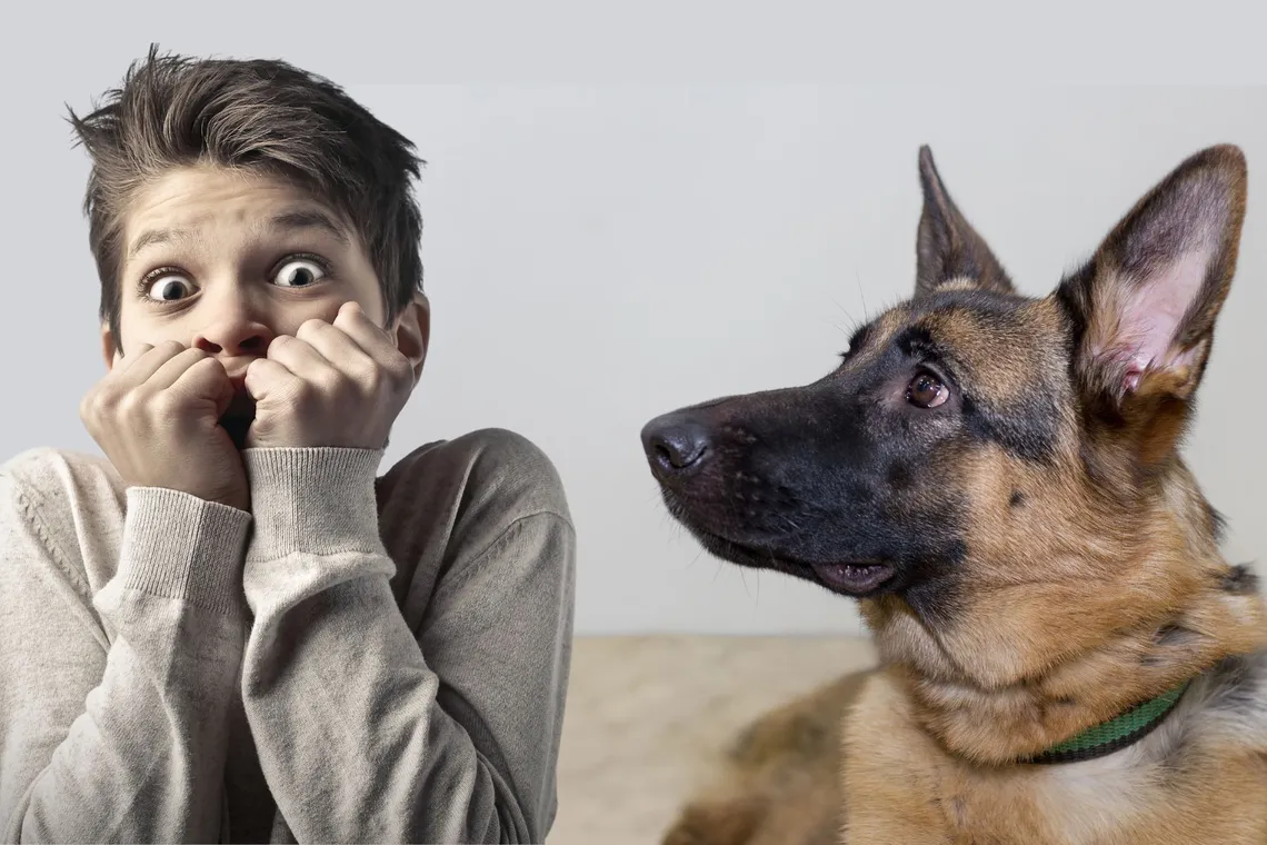 ¿Por qué tengo miedo a los perros?